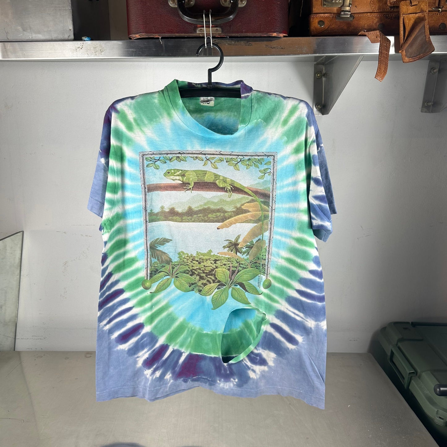 Vintage 1990 Rainforest Gone in Our Lifetime? Tie Dye Distressed T-shirt