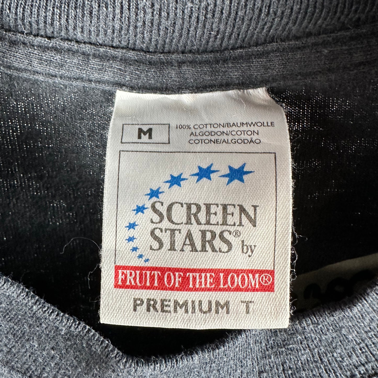 Vintage 2000 Tracy Chapman Telling Stories World Tour T-shirt
