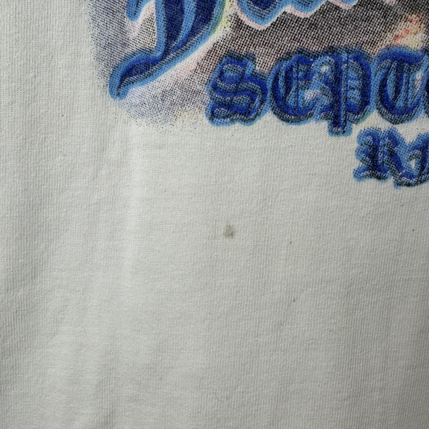 Vintage 1999 Family Values DMX Limp Bizkit Chemical Brothers HFStival T-Shirt