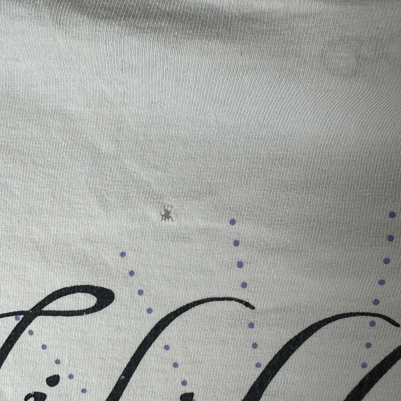 Vintage 1997 Lilith Fair Tracy Chapman Fiona Apple Indigo Girls Concert T-shirt