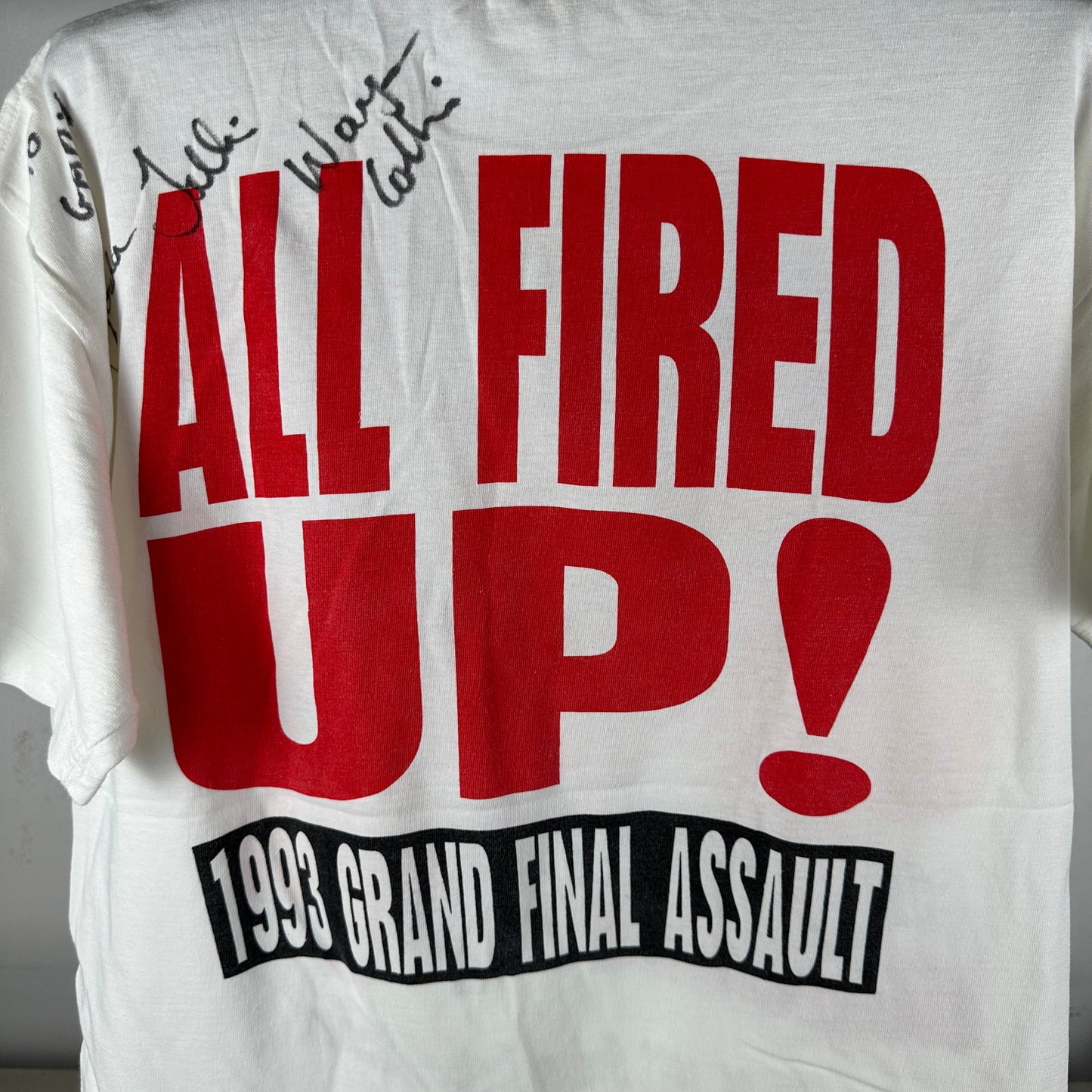 Vintage 1993 St. George Illawarra Dragons NSWRL Winfield Cup Grand Final T-shirt