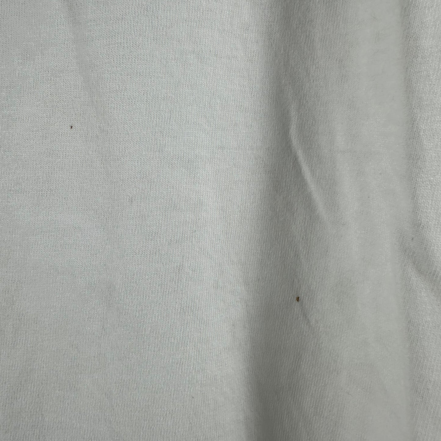 Vintage 2000s The Radical Collection The Radical Fruit Company New York T-shirt