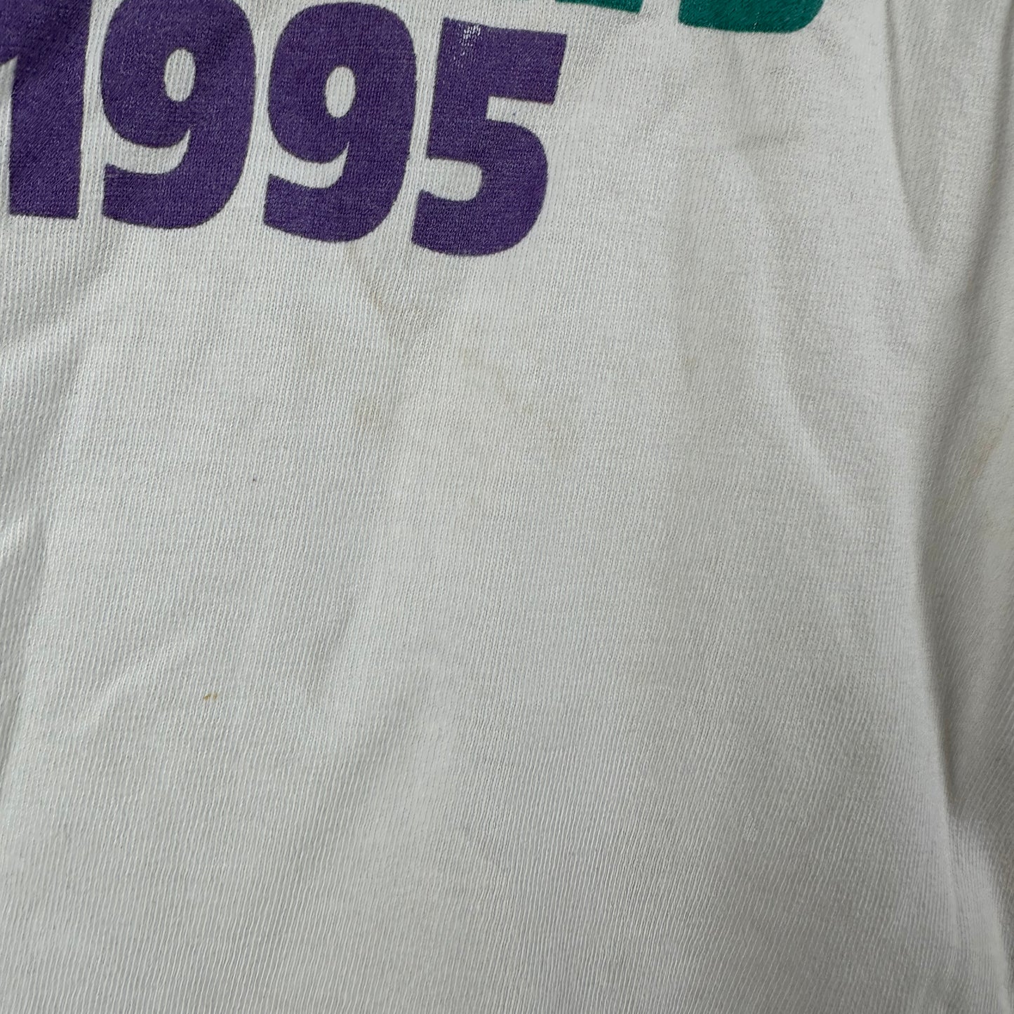 Vintage 1995 Charlotte Hornets VS Cavs Fantastic Fanale NBA T-shirt