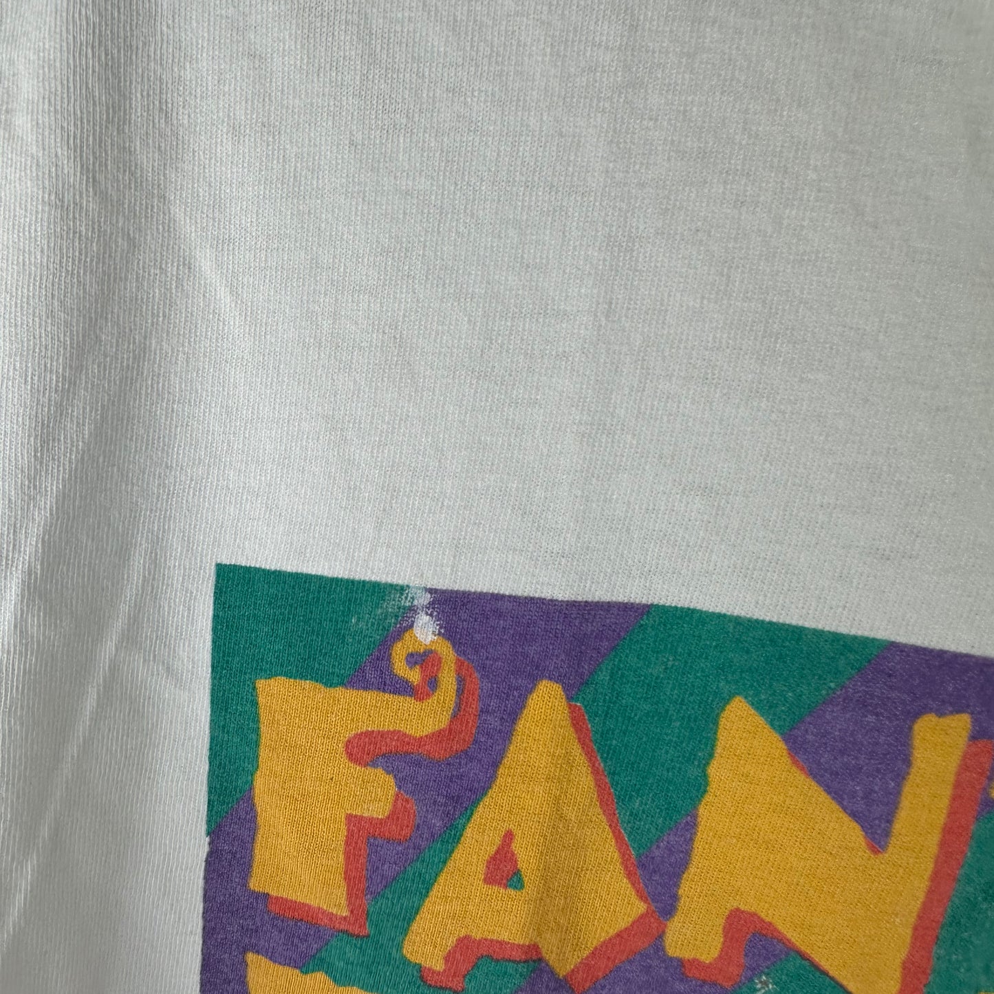 Vintage 1995 Charlotte Hornets VS Cavs Fantastic Fanale NBA T-shirt