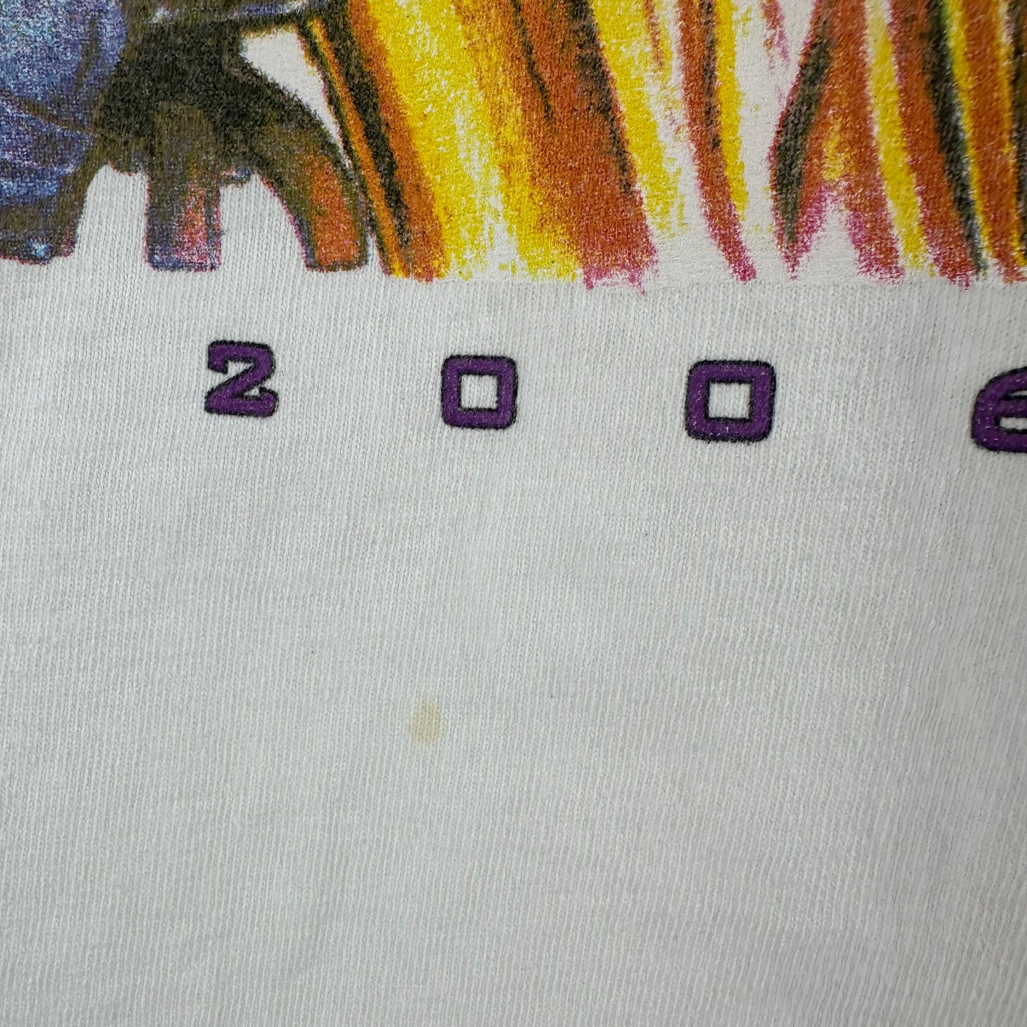Vintage 2006 Hampton Jazz Festival BB King Charlie Wilson Maze T-shirt