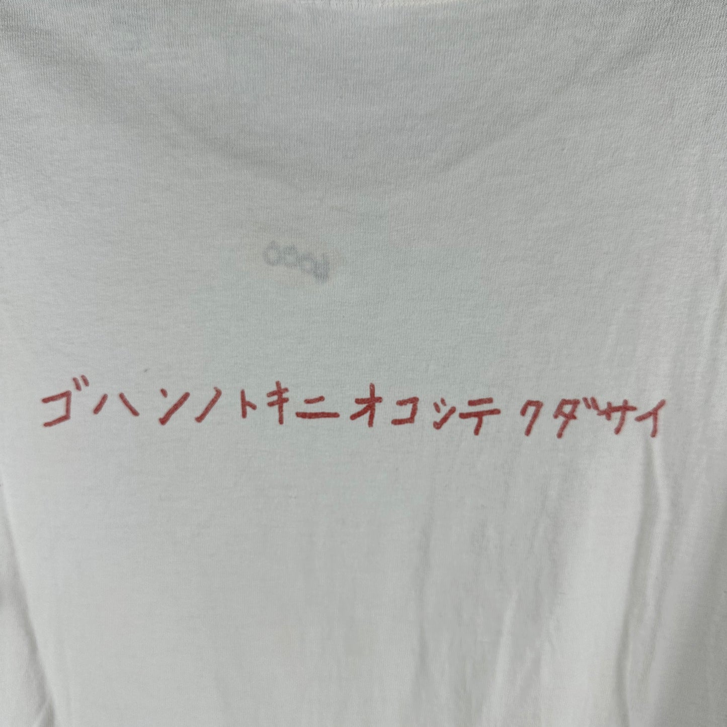 Vintage 90s Beastie Boys Please Get Angry at Mealtime Japanese Single Stitch T-shirt