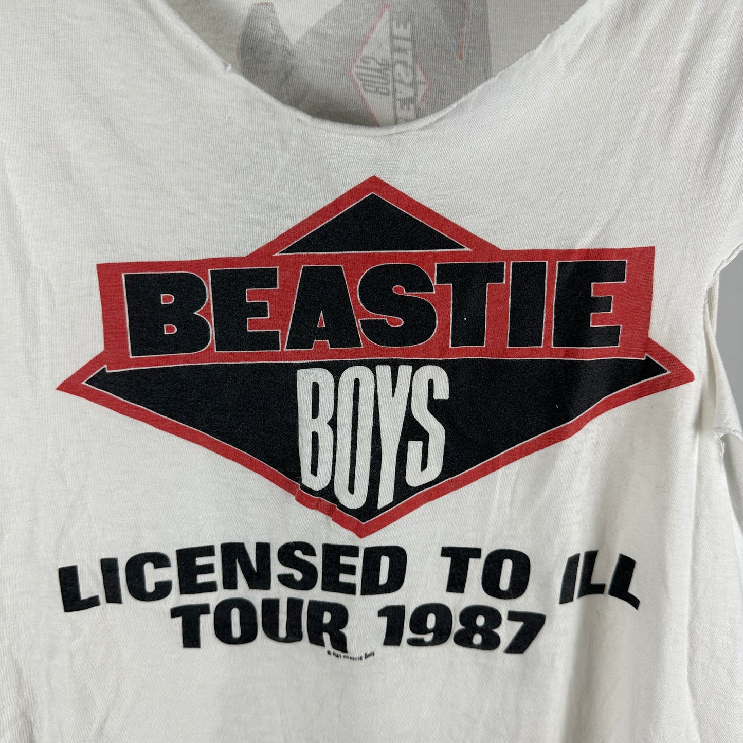 Vintage 1987 Beastie Boys Licensed to Ill Tour Single Stitch T-shirt