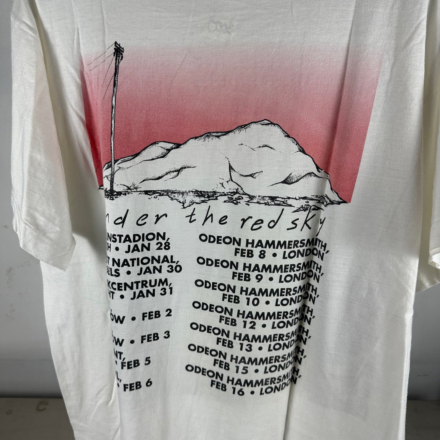 Vintage 1990 Bob Dylan Under the Red Sky Tour Concert Single Stitch T-shirt
