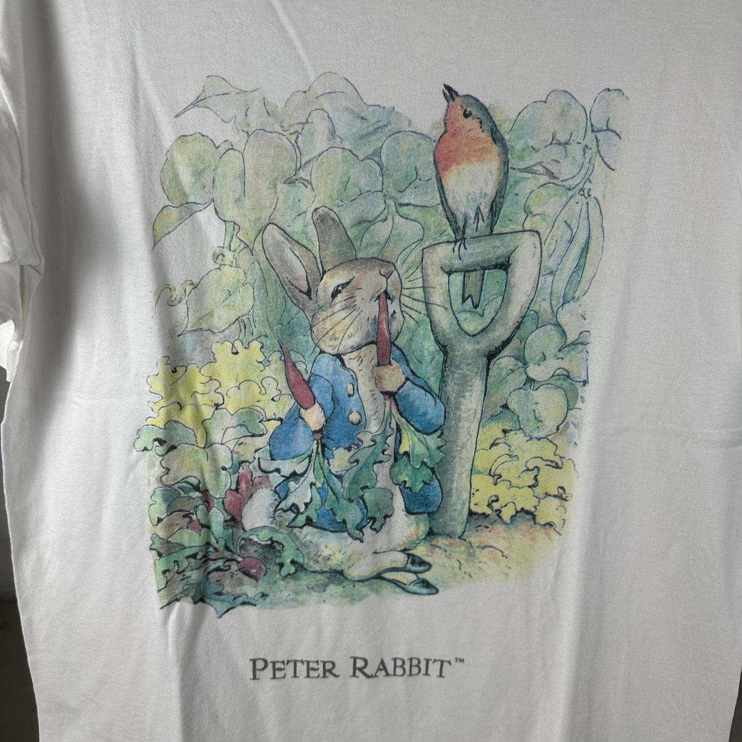 Vintage 1992 Peter Rabbit Cartoon Graphic Single Stitch T-shirt