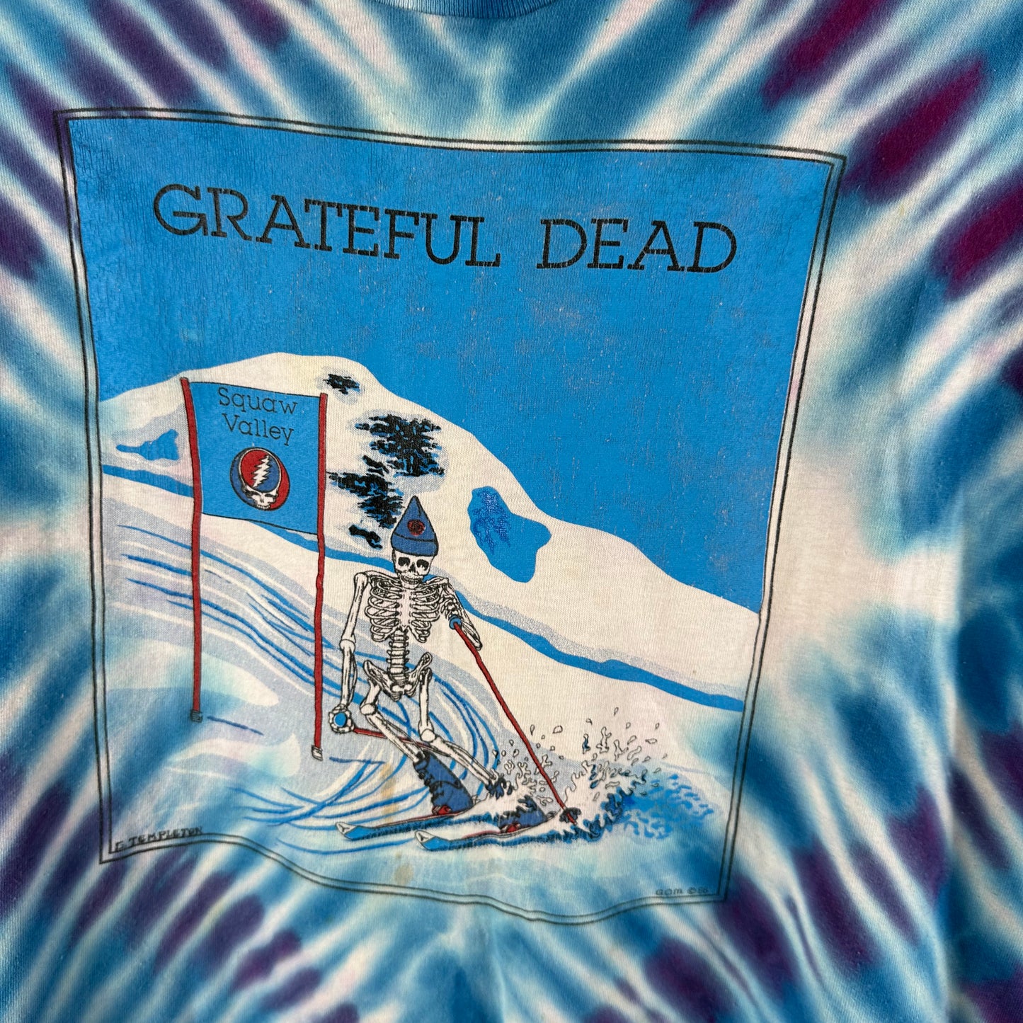 Vintage 1989 Grateful Dead Spring Tour Ski Graphic Rock Band Tie-dye T-shirt