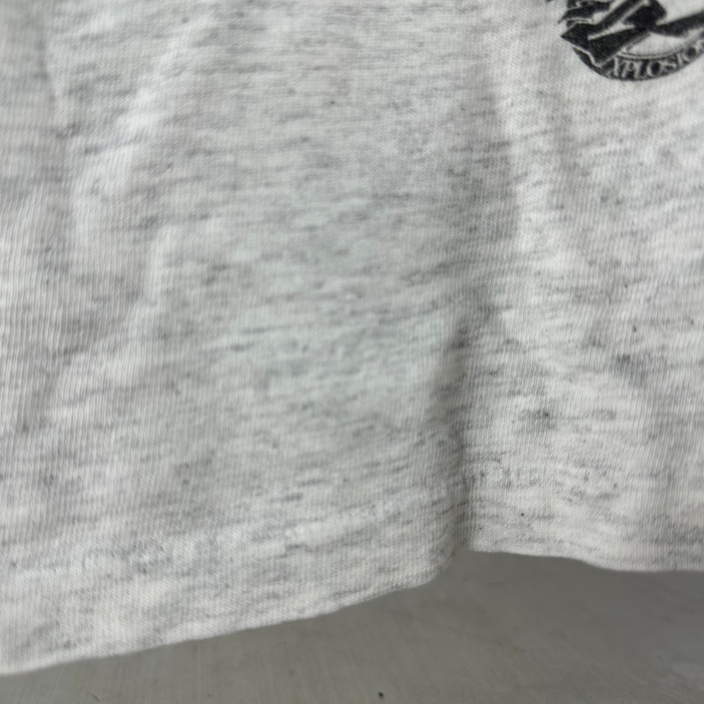 Vintage 1995 Penn State Nittany Lions NCAA Rose Bowl Mascot Graphic T-shirt