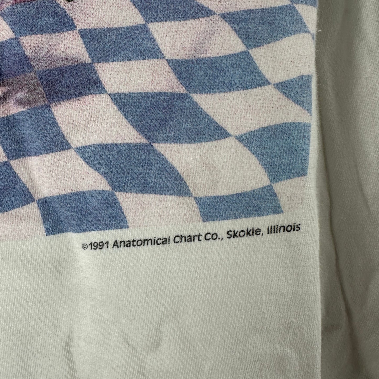 Vintage 1991 Shake, Rattle, and Roll! Anatomical Hits Graphic Single Stitch T-shirt