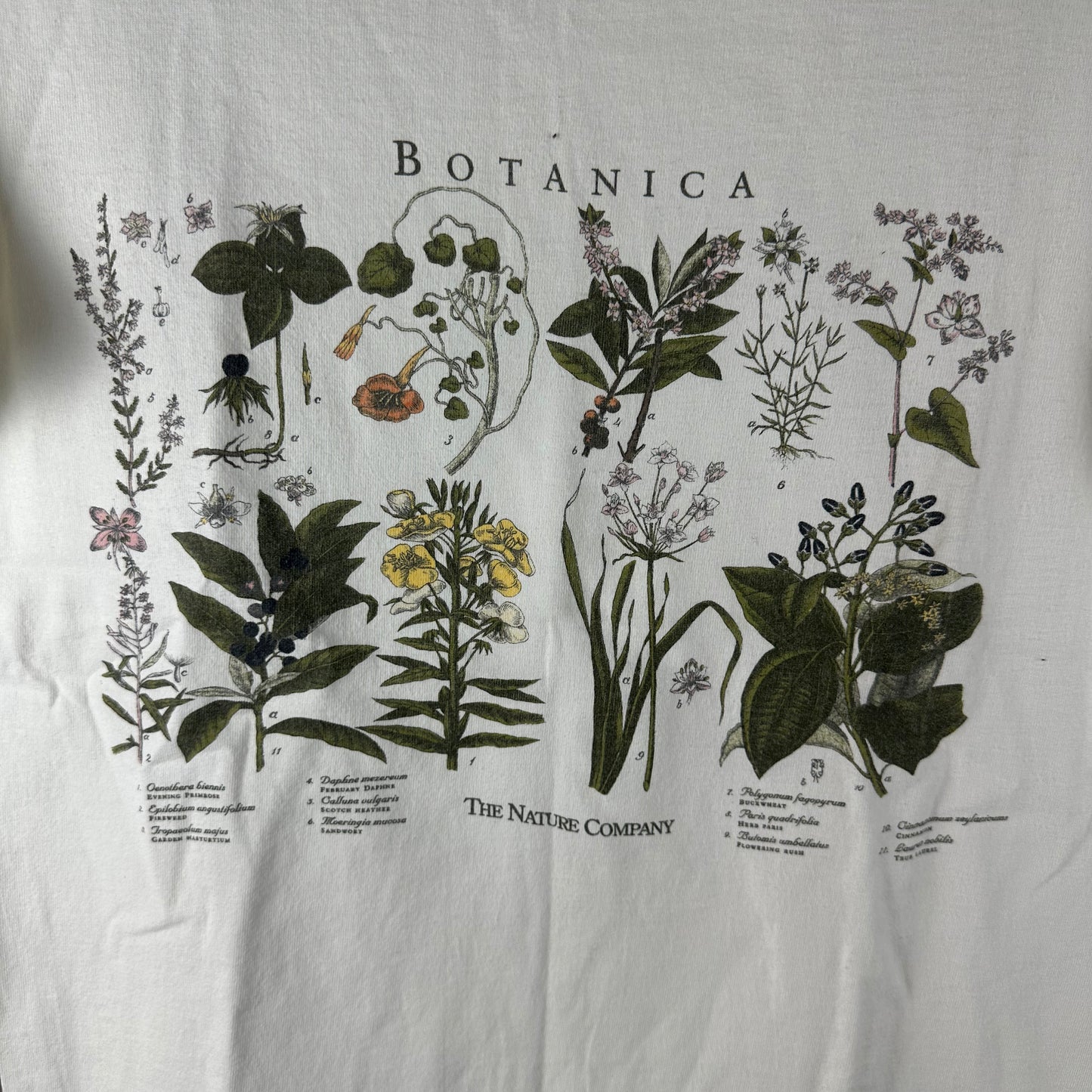 Vintage 90s Botanica The Nature Company Flower Nature Artwork Single Stitch T-shirt
