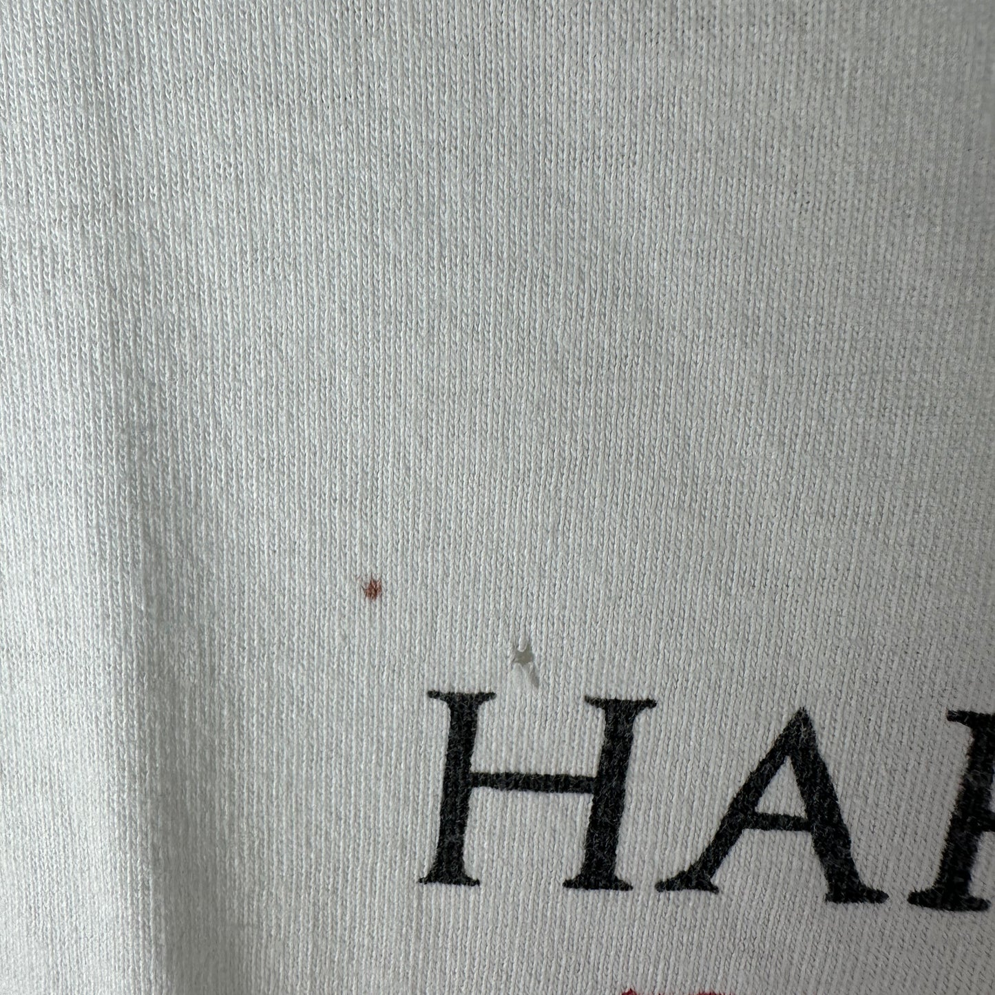 Vintage 1993-94 Harem Scarem Mood Swings Tour Concert Single Stitch T-shirt