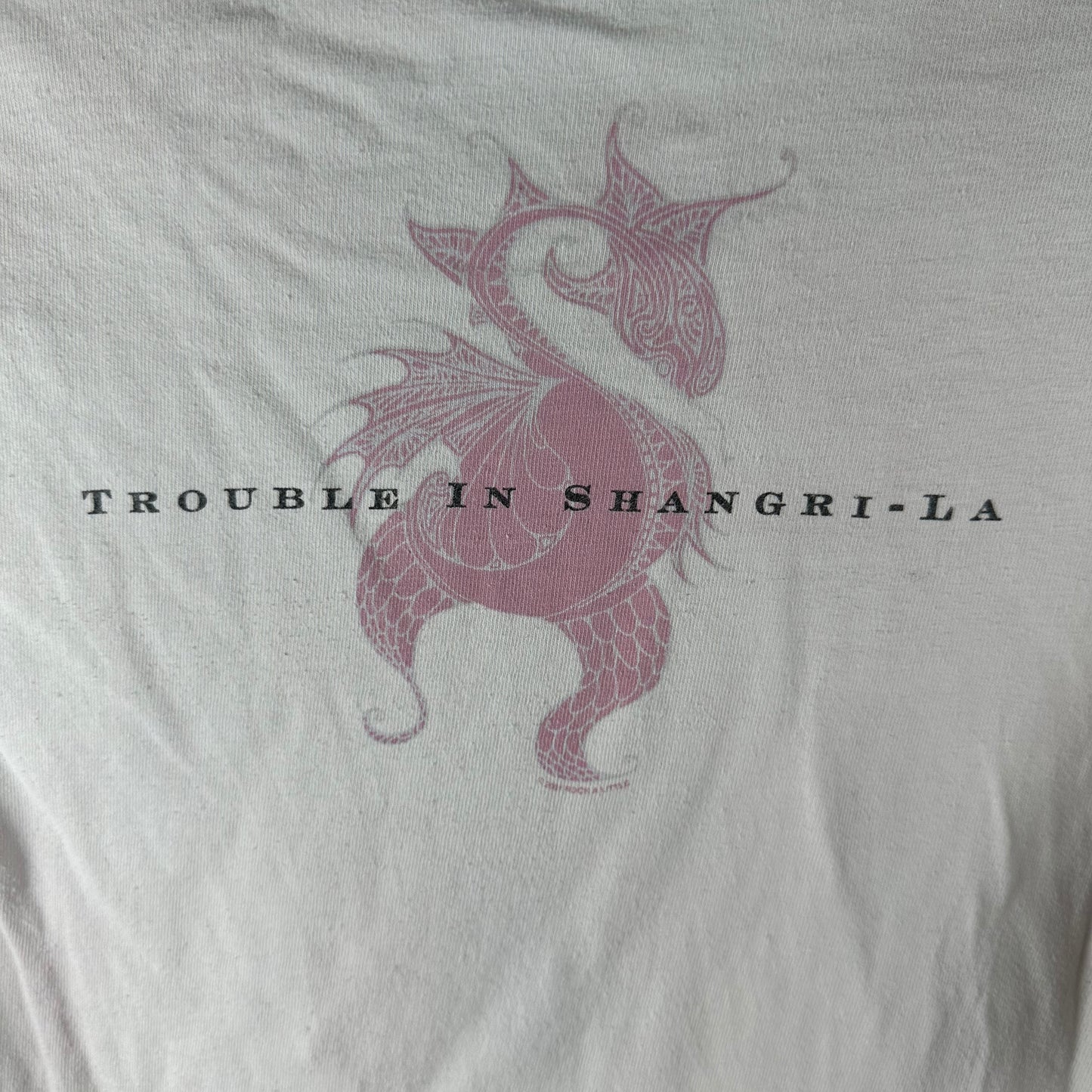 Vintage 2001 Stevie Nicks Trouble in Shangri-la Tour Concert Fleetwood Mac T-shirt