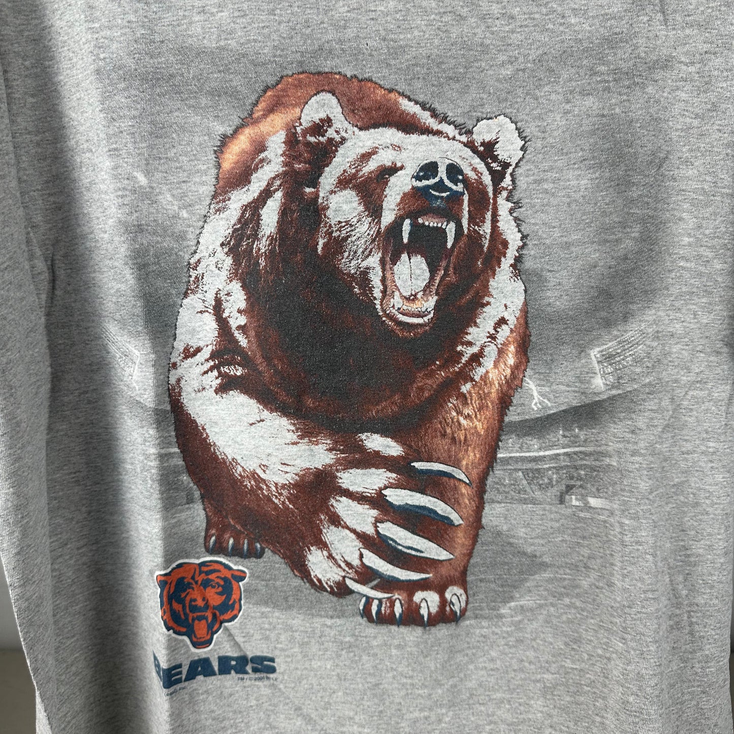Vintage 2001 Chicago Bears Football NFL Mascot Graphic T-shirt