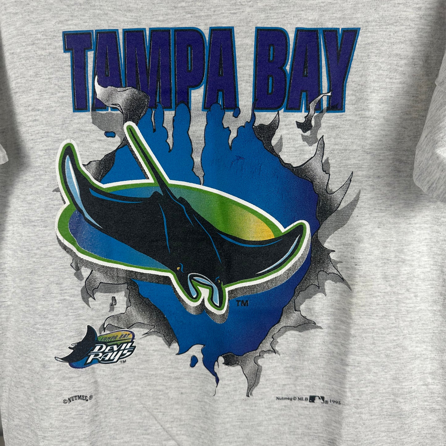 Vintage 1995 Tampa Bay Devil Rays MLB Breakthrough Graphic T-shirt