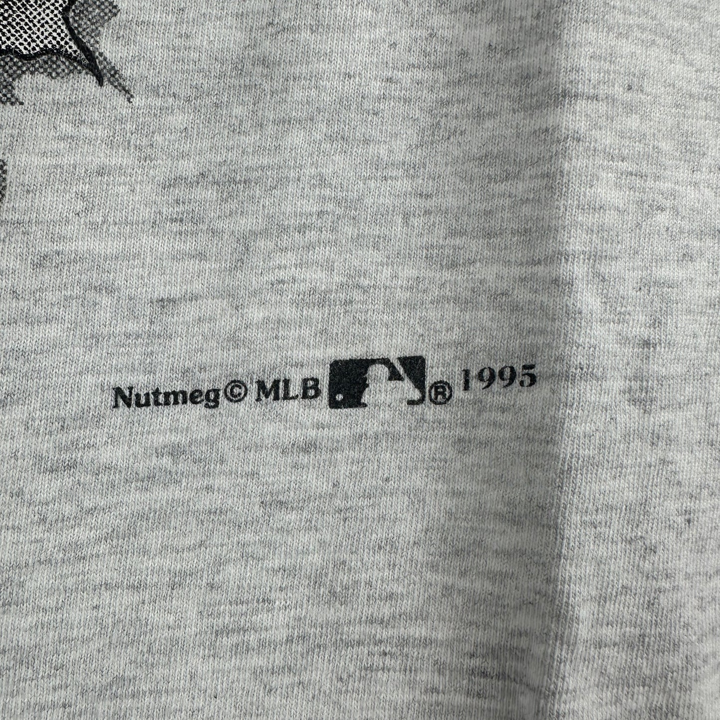 Vintage 1995 Tampa Bay Devil Rays MLB Breakthrough Graphic T-shirt