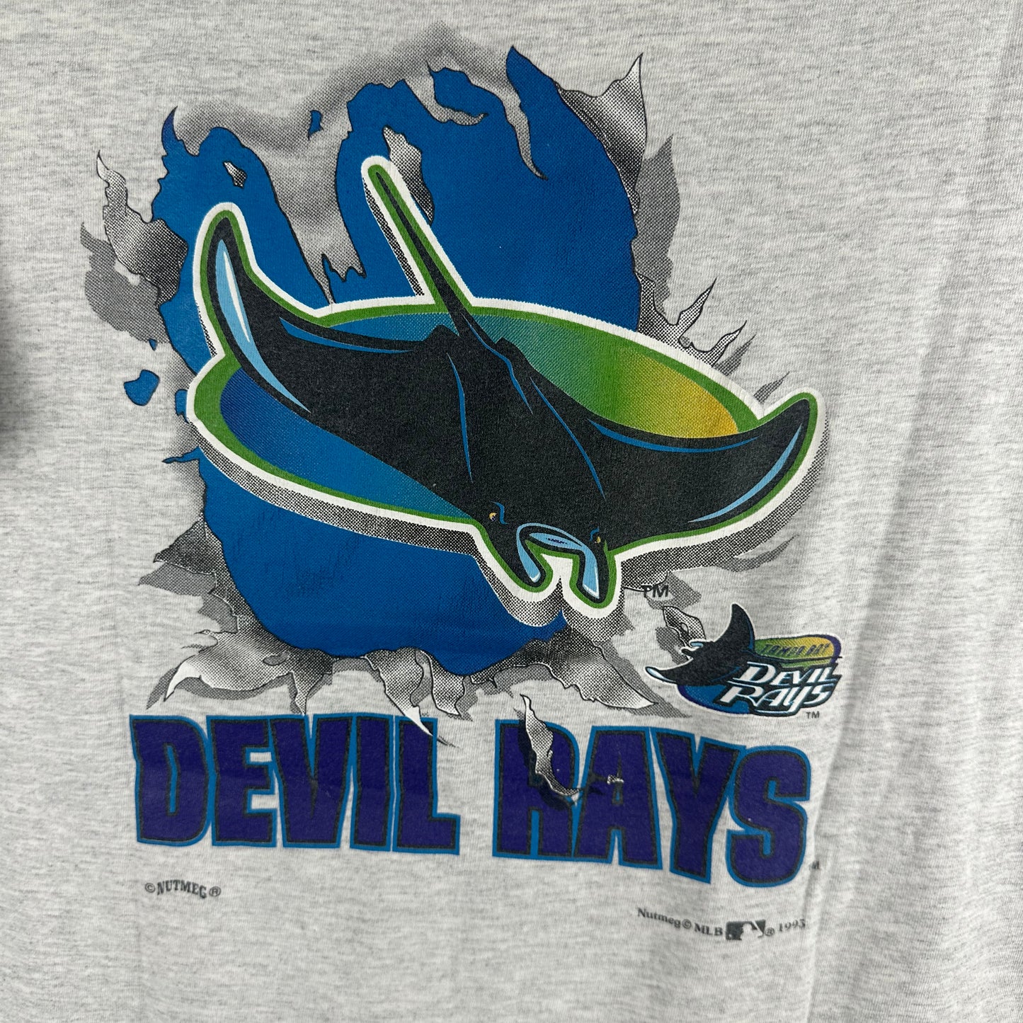Vintage 1995 Tampa Bay Devil Rays MLB Breakthrough Graphic T-shirt