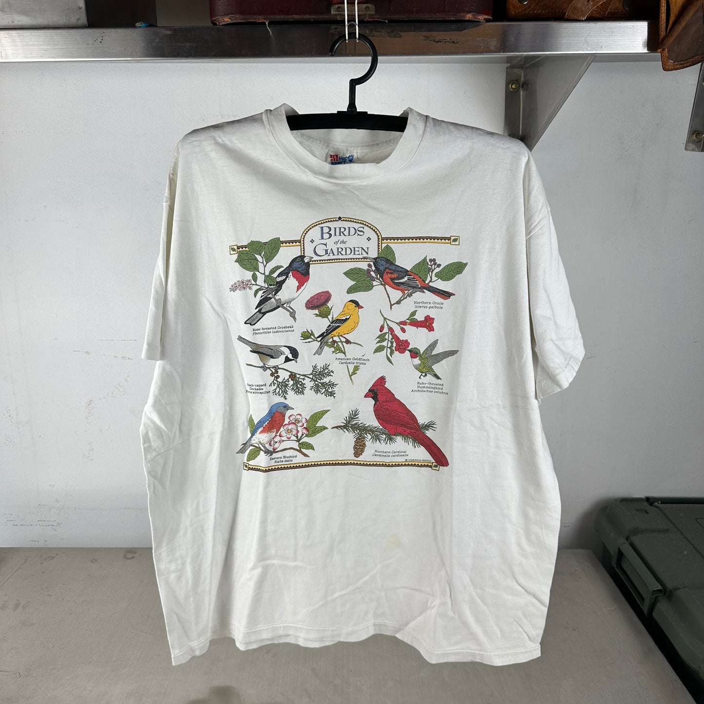 Vintage 90s Birds of the Garden Bird Species Nature Graphic Single Stitch T-Shirt