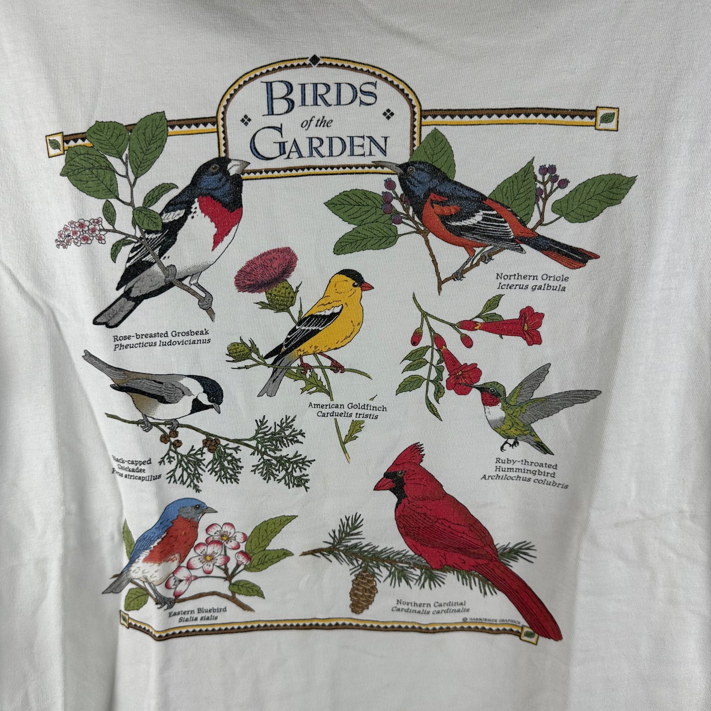 Vintage 90s Birds of the Garden Bird Species Nature Graphic Single Stitch T-Shirt