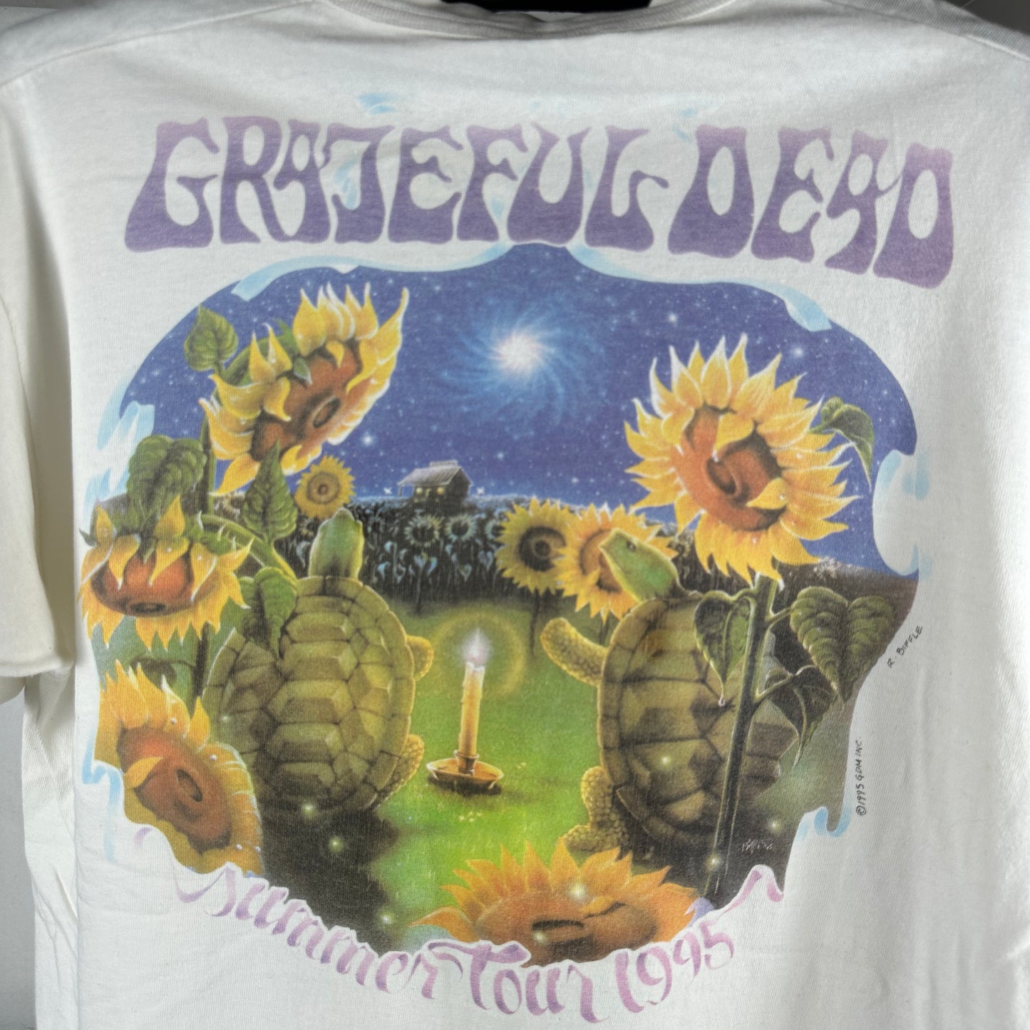 Vintage 1995 Grateful Dead Summer Tour Band Artwork Single Stitch T-shirt