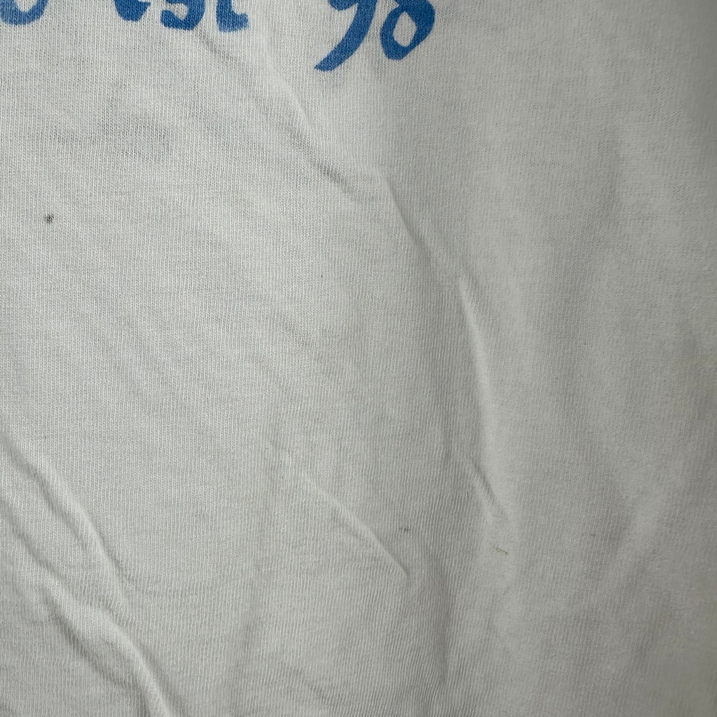 Vintage 1998 Hampton Jazz Music Festival Mary J Blige Aretha Franklin T-shirt