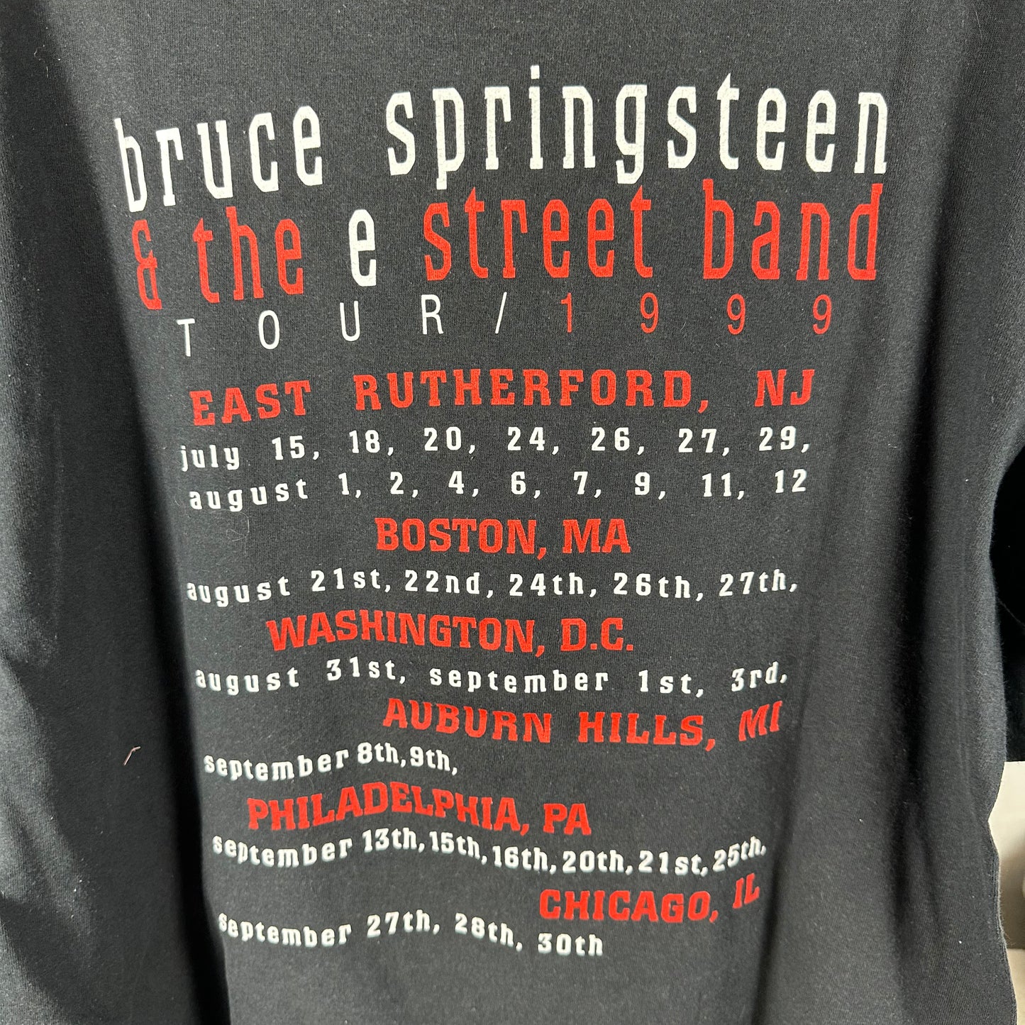 Vintage 1999 Bruce Springsteen &amp; The E Street Band Tour Concert T-Shirt