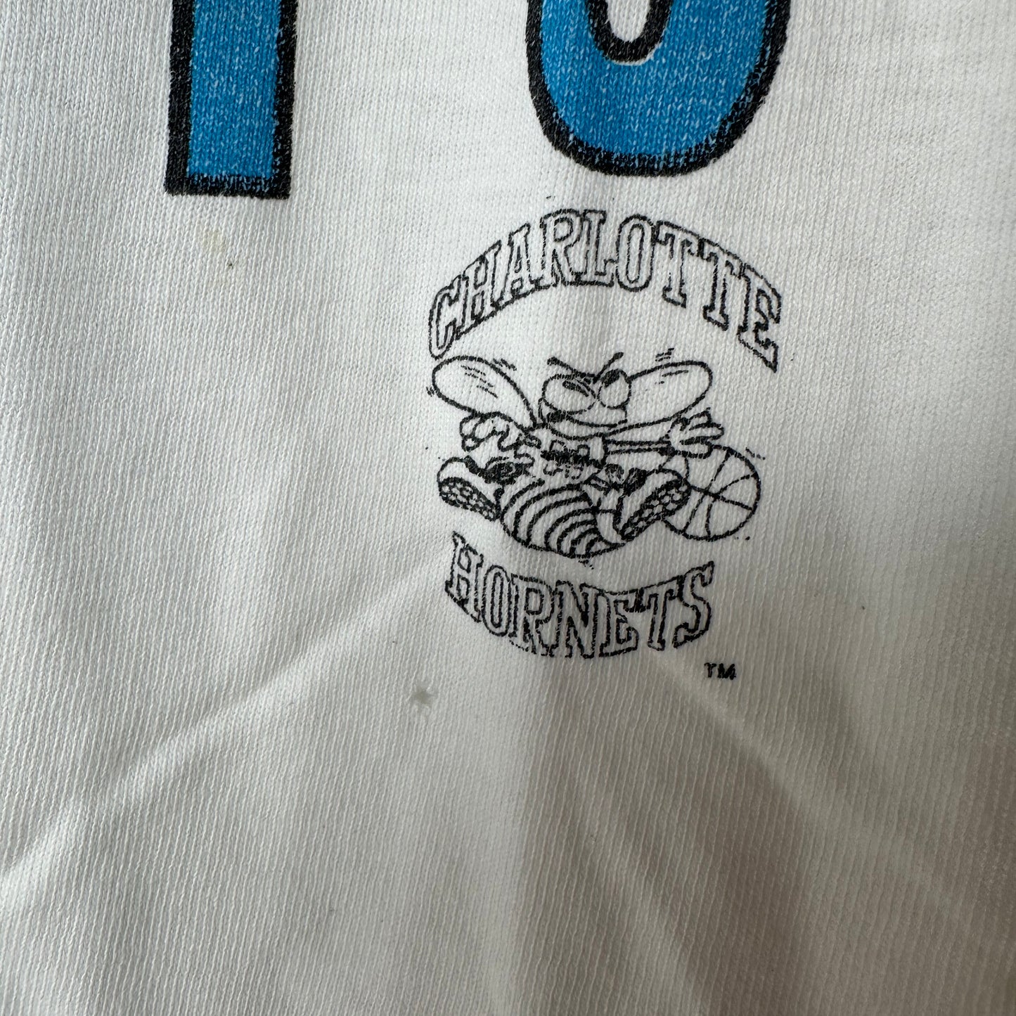 Vintage 90s Charlotte Hornets Basketball NBA Graphic T-shirt