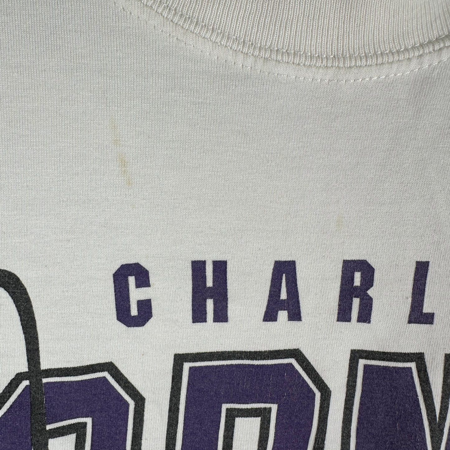 Vintage 90s Charlotte Hornets Basketball NBA Mascot Graphic T-Shirt