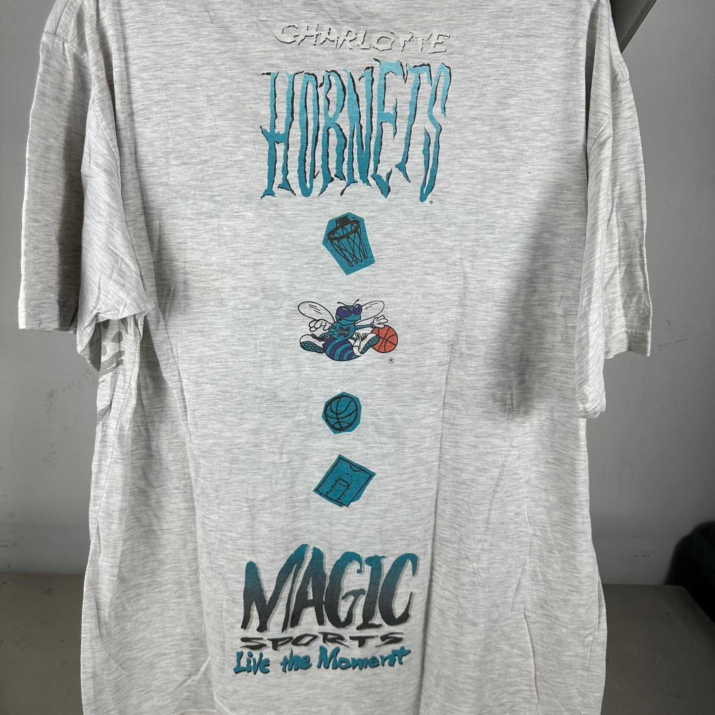 Vintage 90s Charlotte Hornets Basketball NBA No Game No Fame Graphic T-Shirt