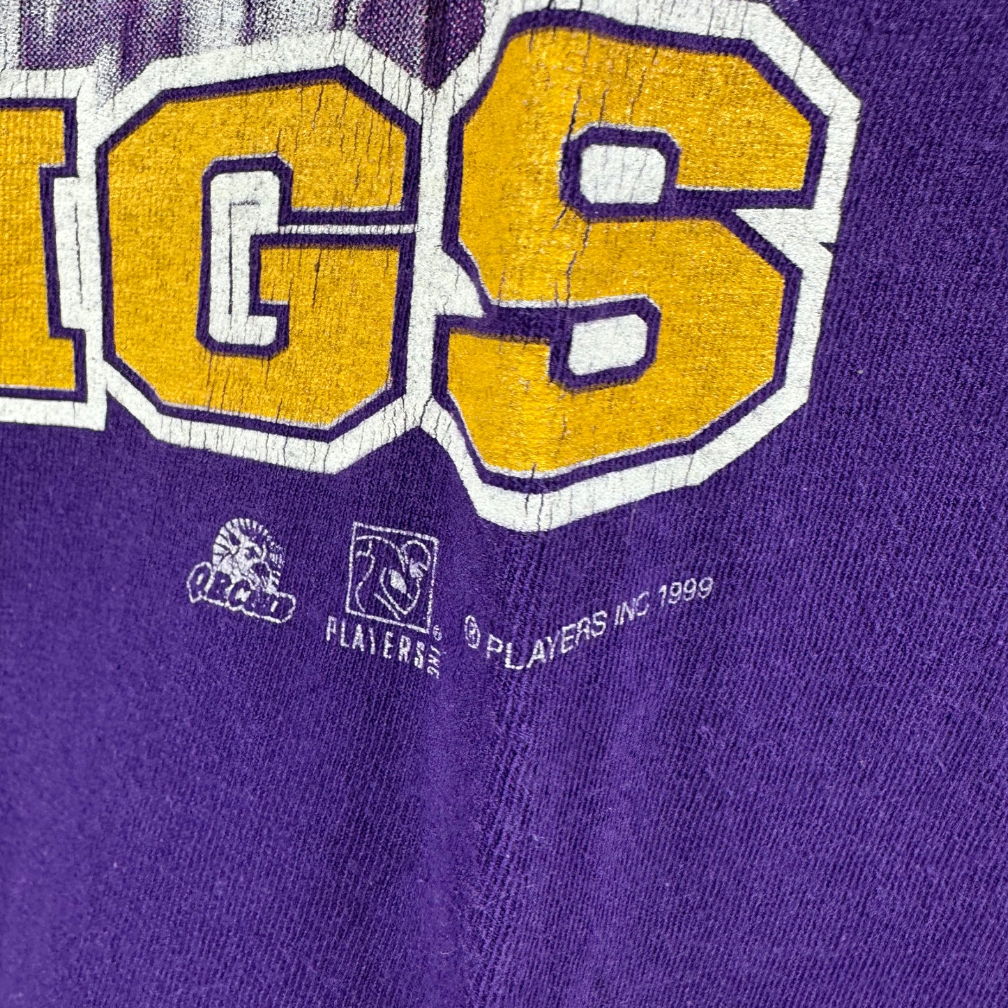 Vintage 1999 Minnesota Vikings Schedule NFL Graphic T-Shirt