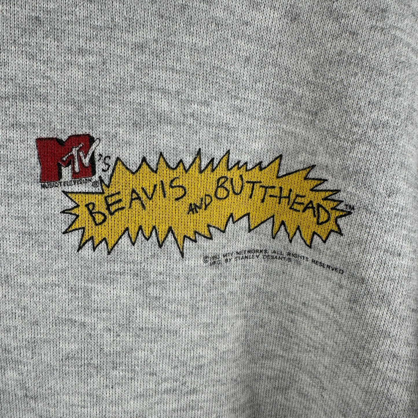 Vintage 1993 Beavis and Butthead MTV Insect Court Hoodie