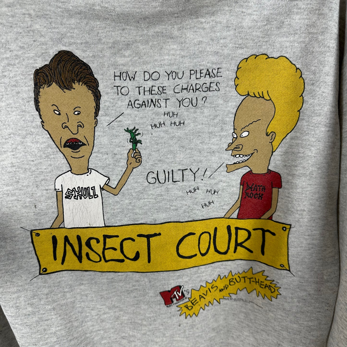Vintage 1993 Beavis and Butthead MTV Insect Court Hoodie