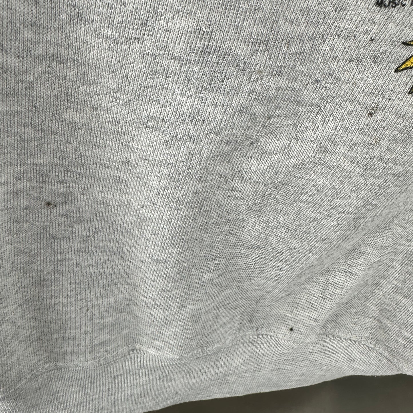 Vintage 1993 Beavis and Butthead MTV Insect Court Hoodie