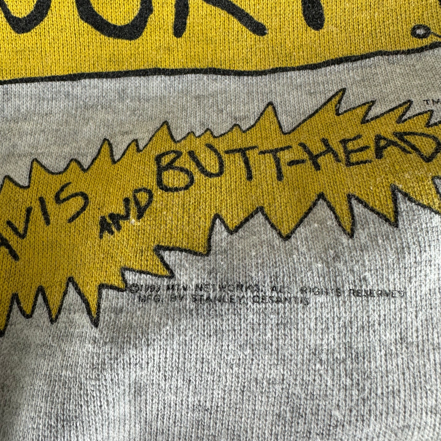 Vintage 1993 Beavis and Butthead MTV Insect Court Hoodie