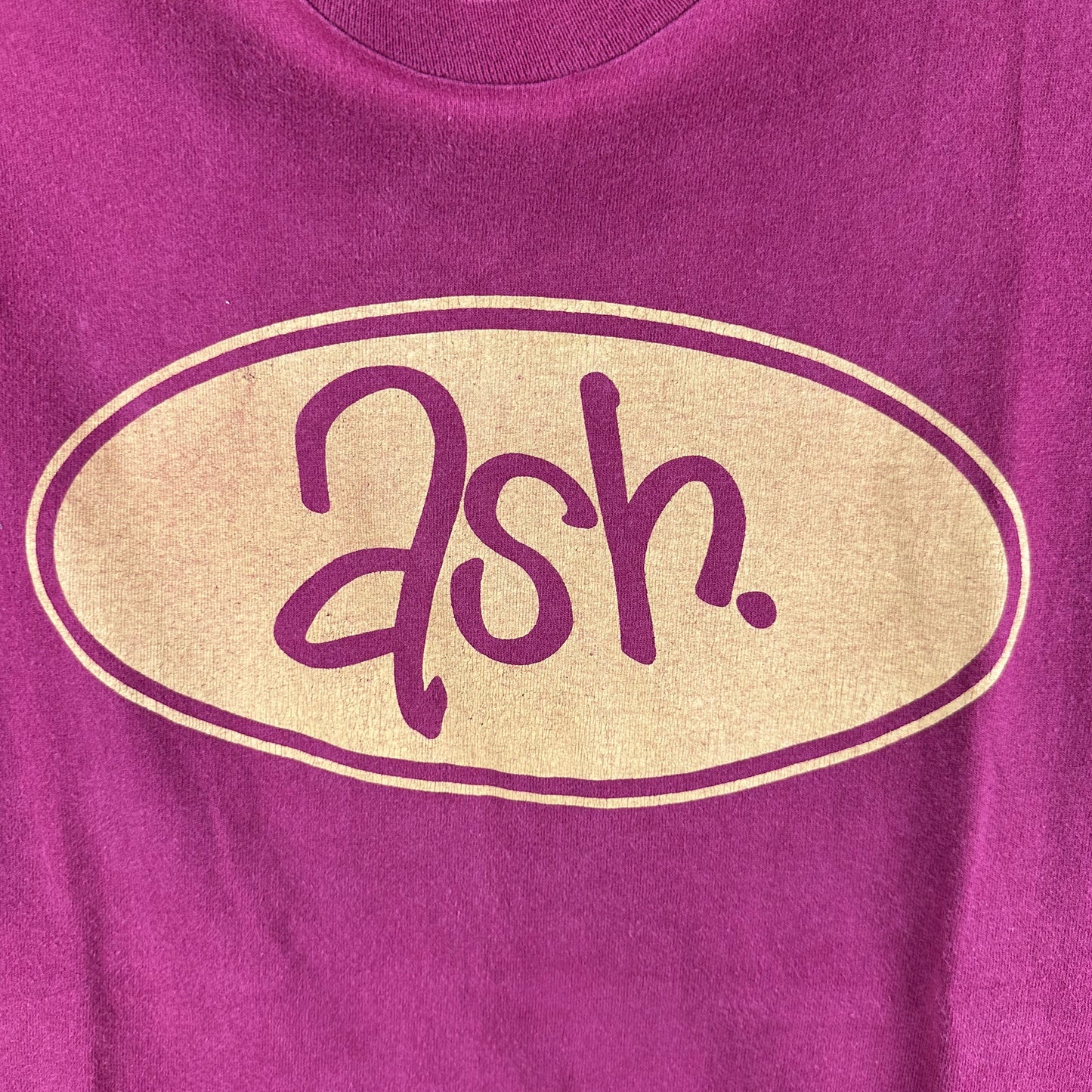 Vintage 90s Ash Rock Band Single Stitch T-Shirt