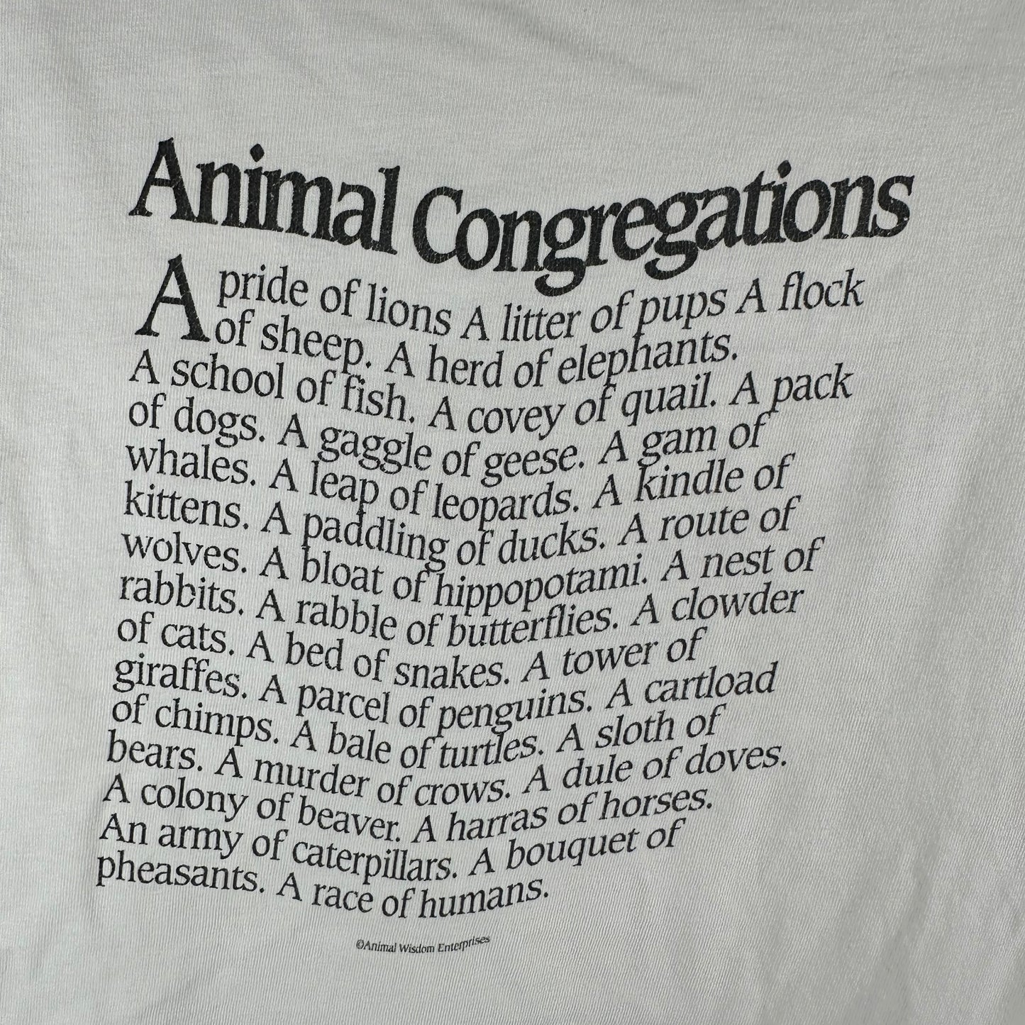 Vintage 1991 A Parliament of Owls Detroit Zoo Nature Artwork Single Stitch T-Shirt