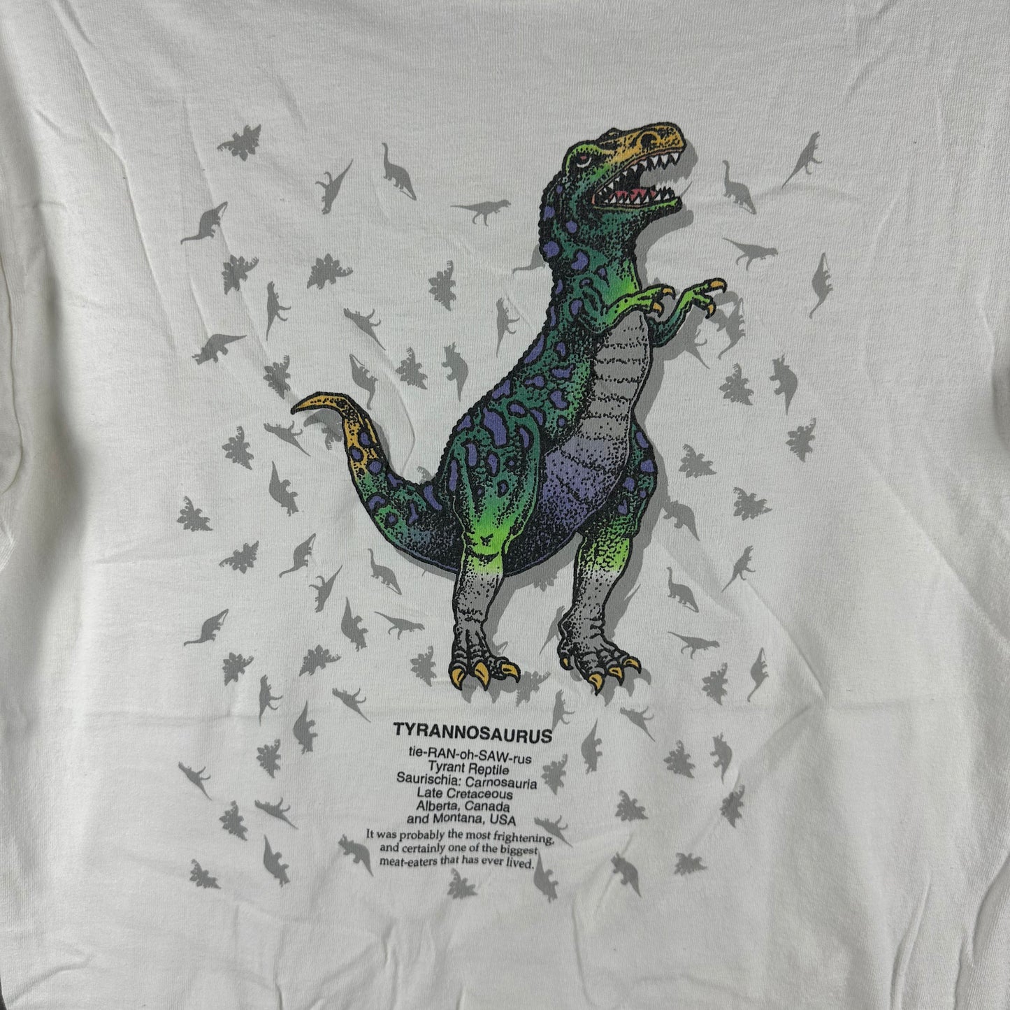 Vintage 90s Tyrannosaurus Rex Dinosaur Graphic Single Stitch T-Shirt