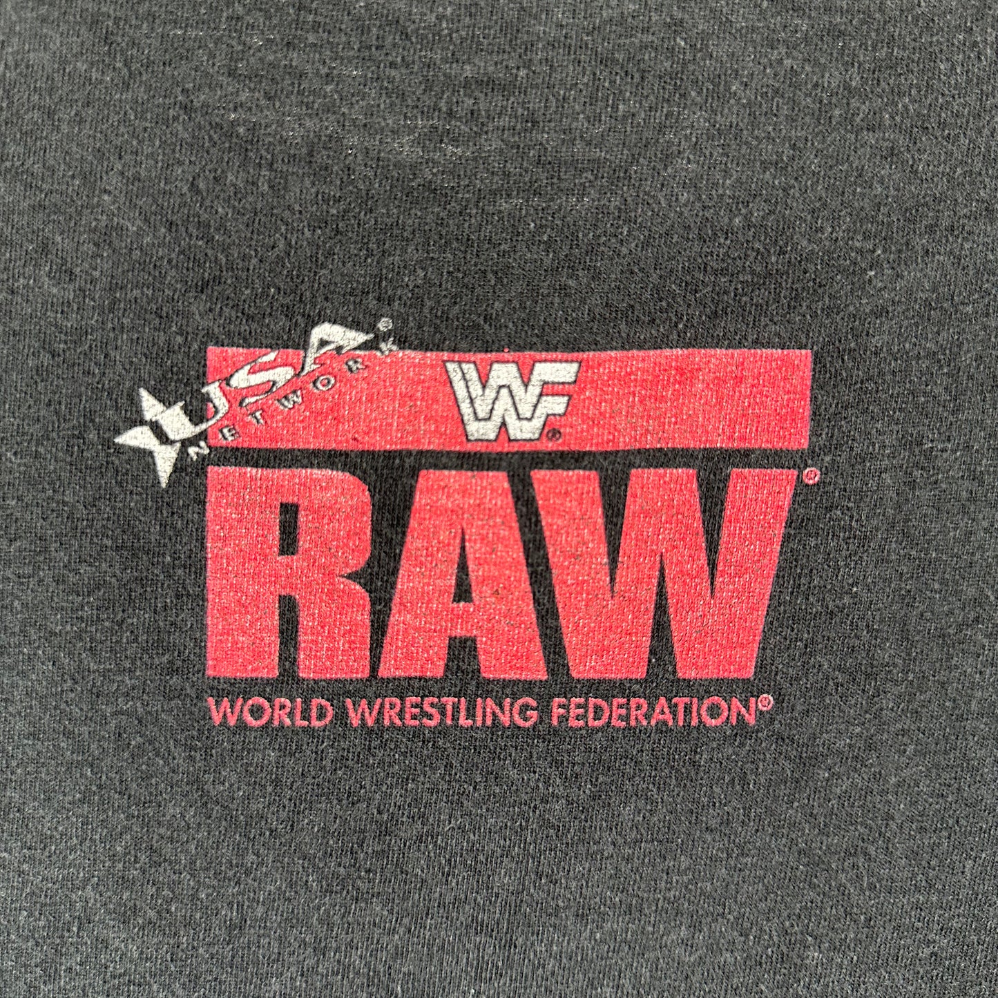 Vintage 1996 Tammy Lynn Sytch Sunny I Like it Raw WWF WWE Wrestling T-Shirt