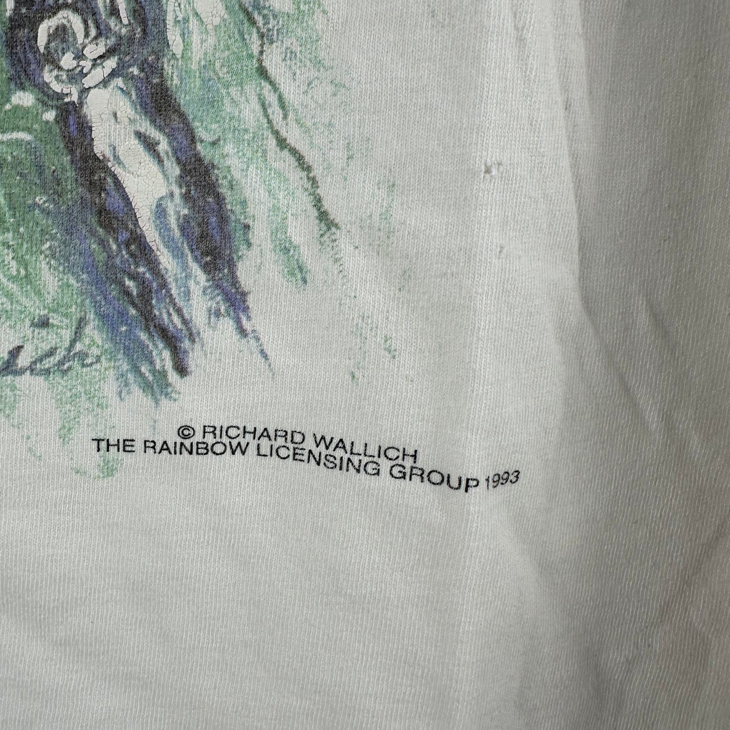 Vintage 1993 Dallas Cowboys NFL Super Bowl Champions Single Stitch T-Shirt
