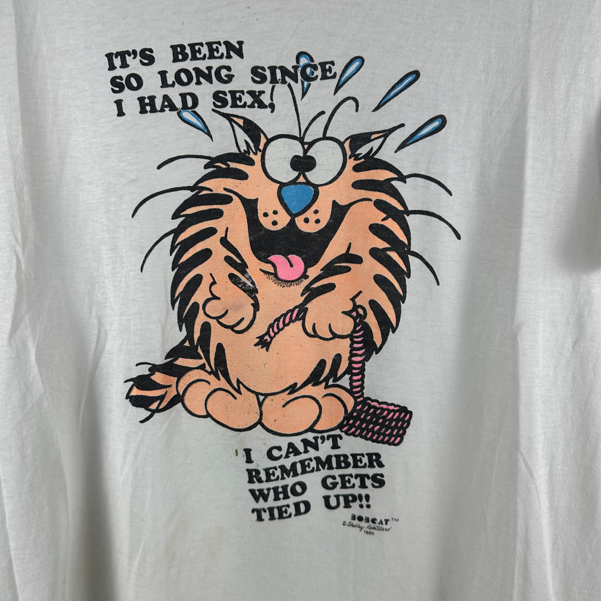 Vintage 1989 It's Been So Long Since I Had Sex Cat Single Stitch T-shirt