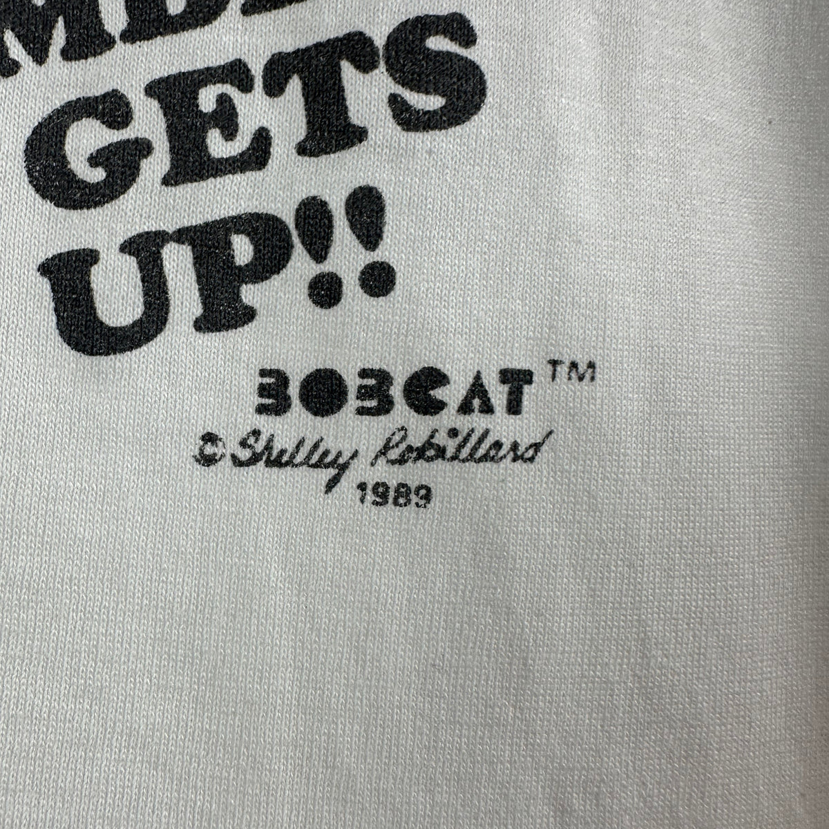 Vintage 1989 It's Been So Long Since I Had Sex Cat Single Stitch T-shirt