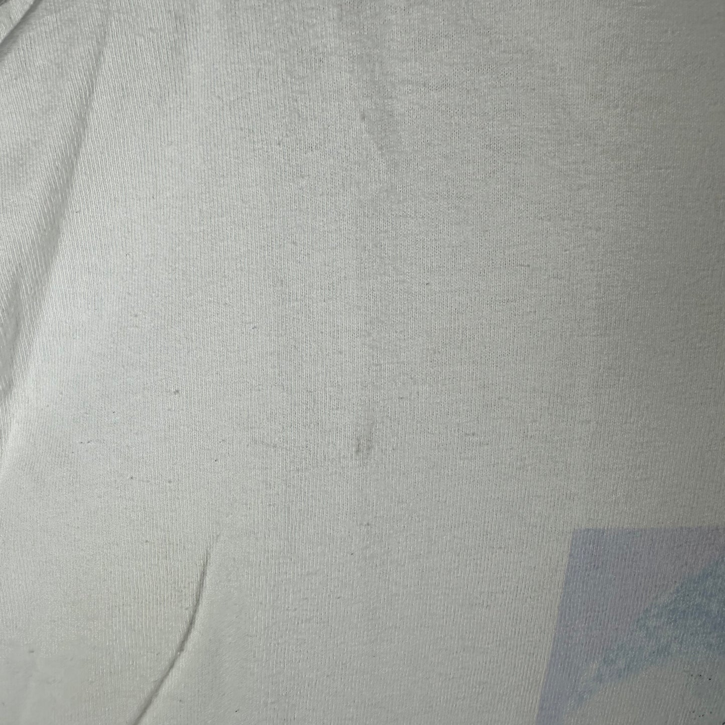 Vintage 2000s Brian McKnight in Concert New Edition Promo T-shirt
