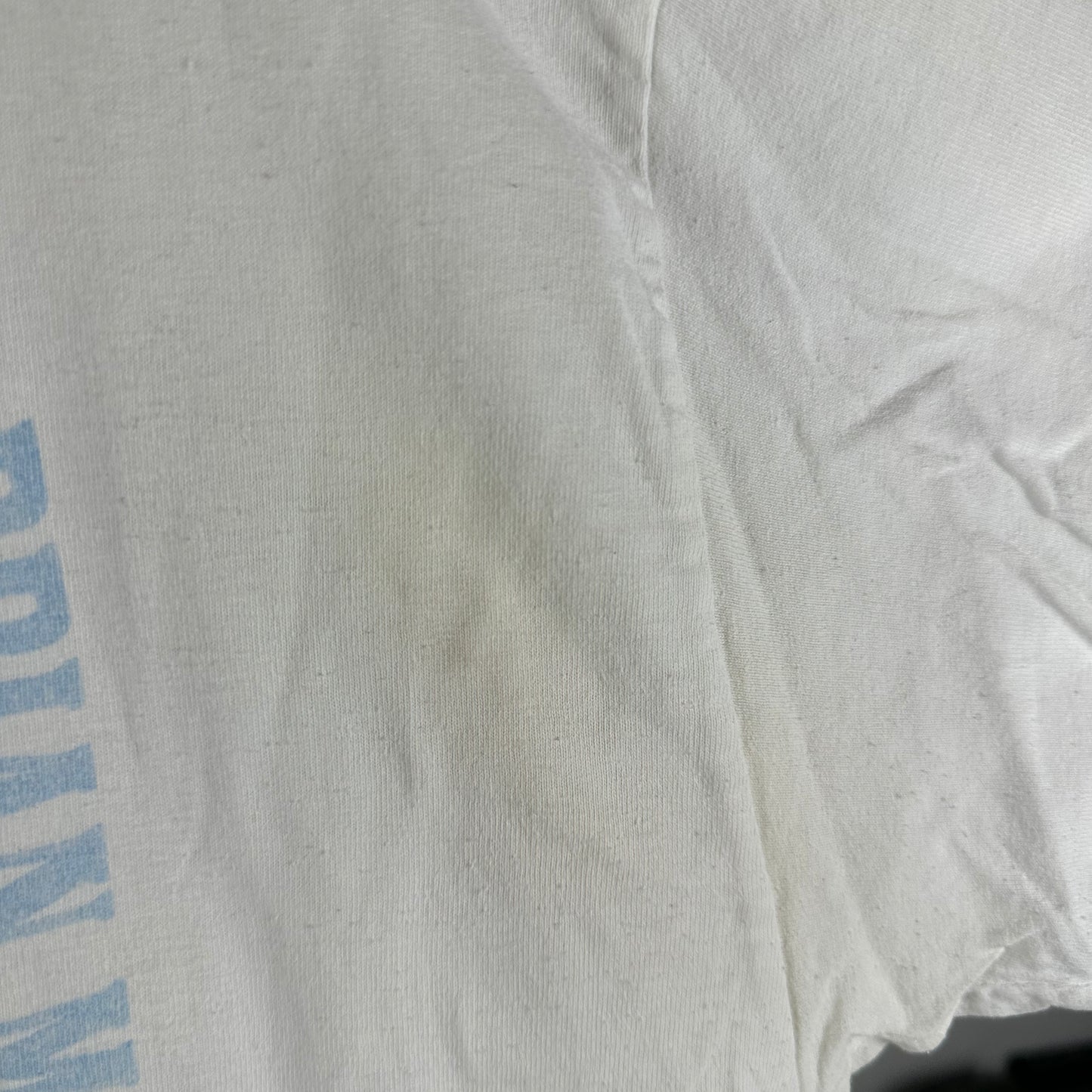 Vintage 2000s Brian McKnight in Concert New Edition Promo T-shirt